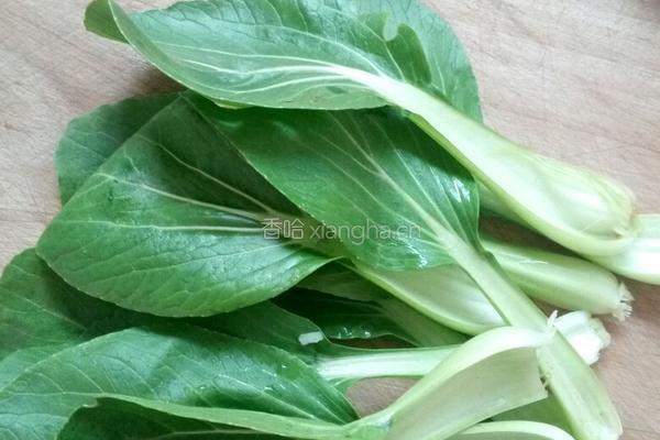 金针菇青菜烧豆腐的做法图解3