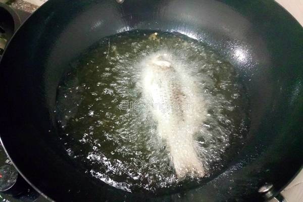 鲫鱼豆腐海鲜菇汤的做法图解12