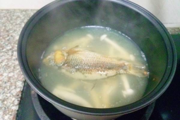 鲫鱼豆腐海鲜菇汤的做法图解14