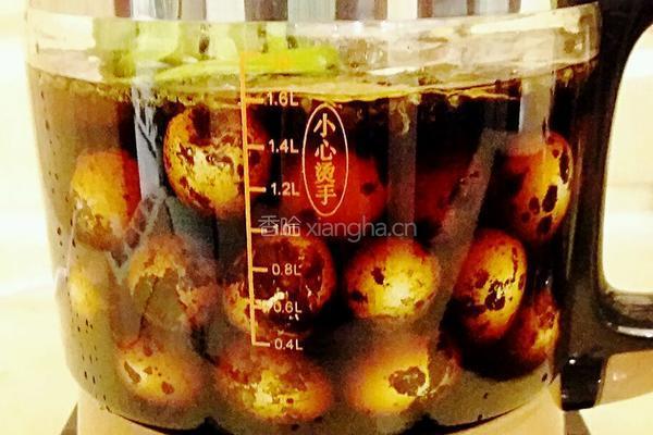 养生壶五香茶叶鹌鹑蛋的做法图解5