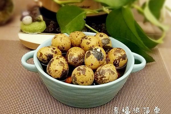 养生壶五香茶叶鹌鹑蛋的做法图解7