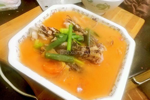 番茄煮黄骨鱼的做法图解8