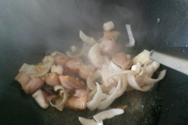 炒米粉（家常粗米粉）的做法图解3