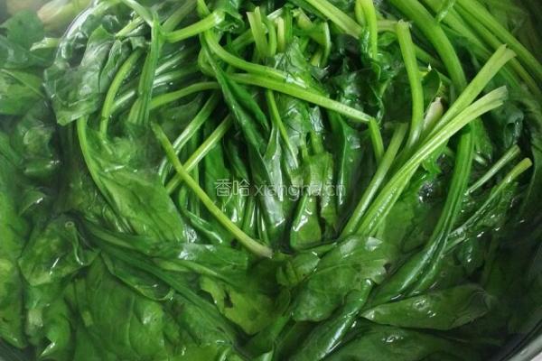 凉拌菠菜的做法图解1