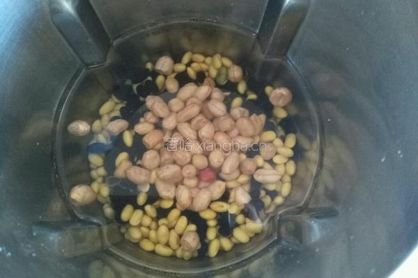 黑豆黄豆米糊的做法图解3