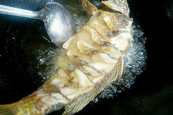 糖醋脆皮鲤鱼的做法图解8