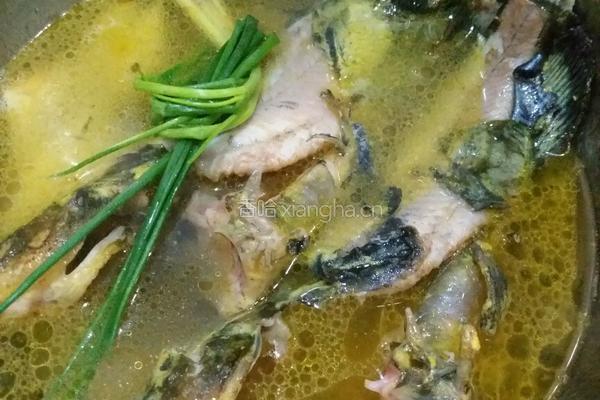 酸汤鱼豆腐的做法图解3