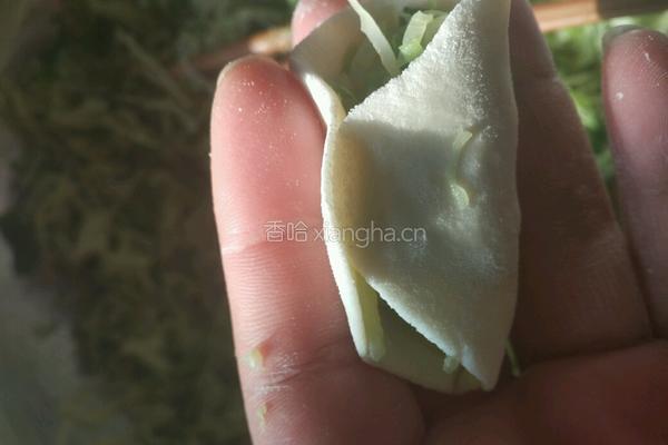 萝卜馅饺子的做法图解7