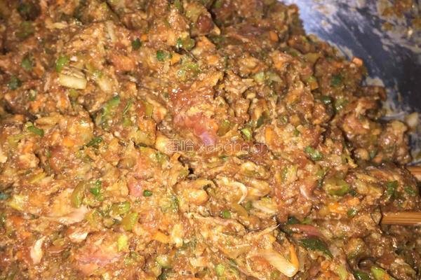 羊肉大葱饺子的做法图解8