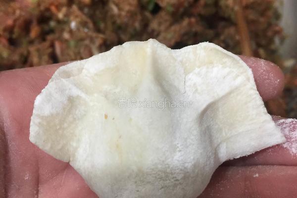 羊肉大葱饺子的做法图解11