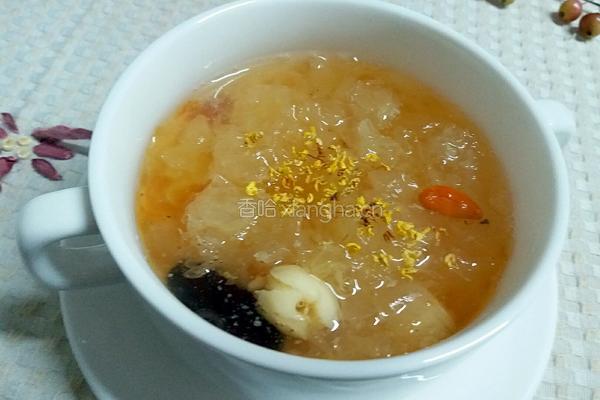 养颜雪耳羹的做法图解5