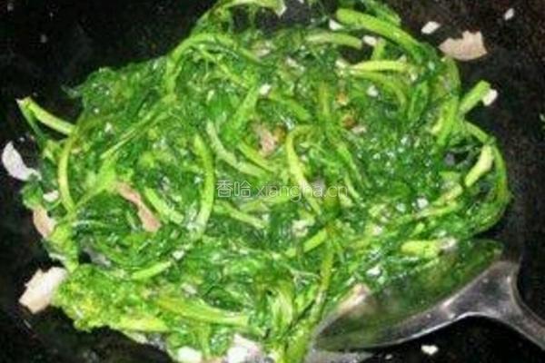 清炒蒜蓉茼蒿的做法图解5
