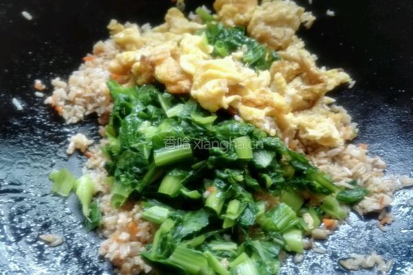 芥菜饭的做法图解13