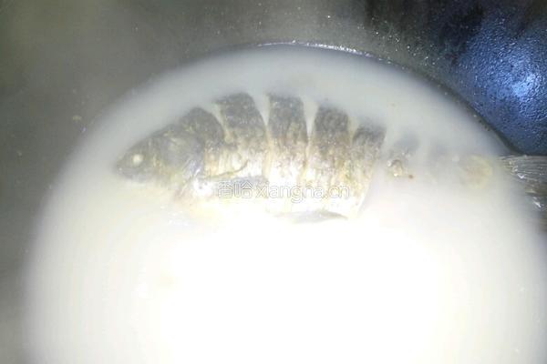 鲫鱼汤的做法图解6