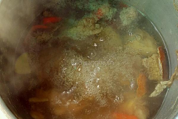 萝卜羊肉汤的做法图解4