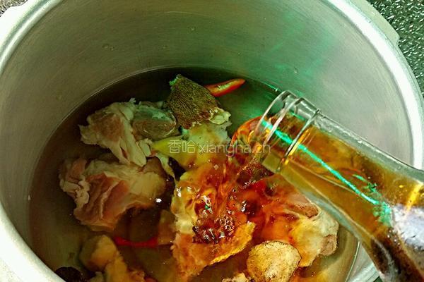 萝卜羊肉汤的做法图解3