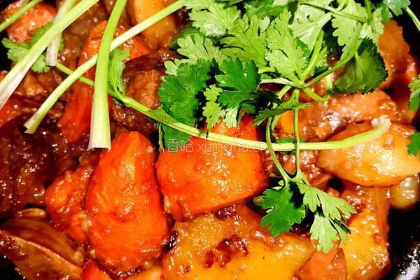 土豆烧牛肉的做法图解8
