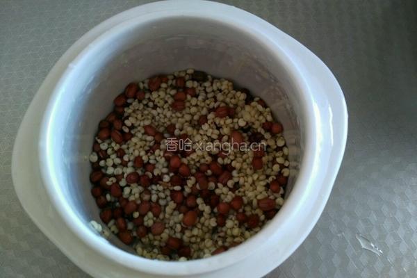 高粱米红豆粥的做法图解3