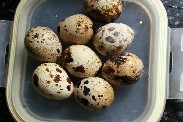 清汤牛肉面的做法图解2