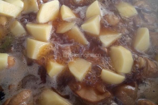 鸡腿炖土豆的做法图解7
