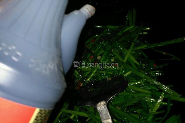 辣炒韭菜的做法图解4