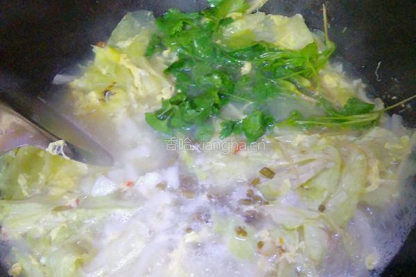包菜汤桂粉的做法图解9