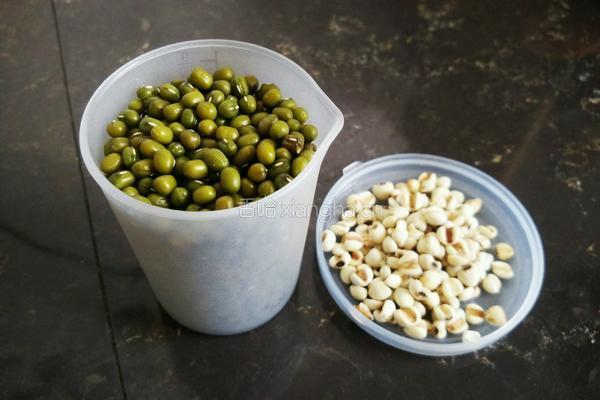 薏米绿豆浆的做法图解1