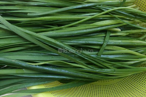 韭菜莲菜饺子的做法图解1