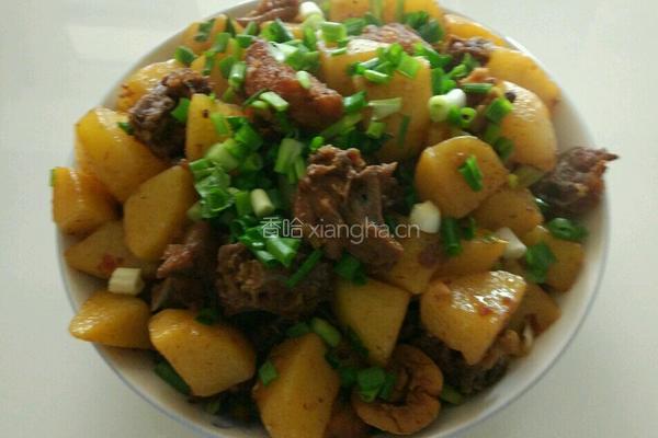 土豆烧土鸡的做法图解7