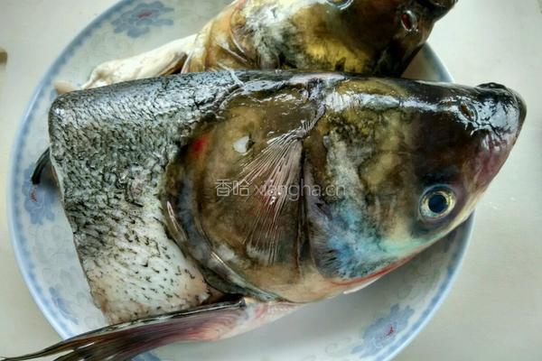 酸菜豆腐鱼头汤的做法图解1