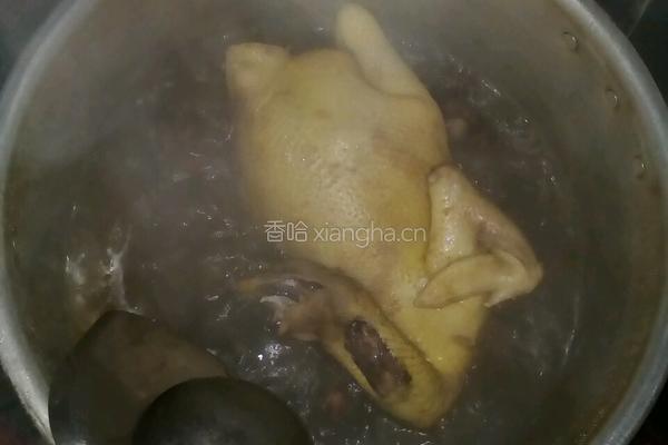 清远白切鸡的做法图解3
