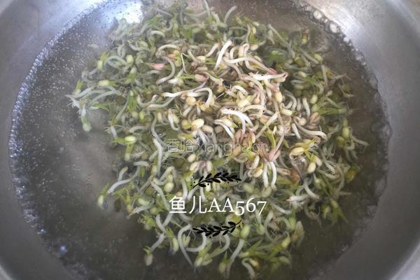 凉拌豆芽的做法图解2