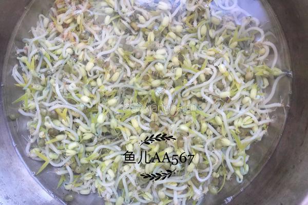 凉拌豆芽的做法图解3