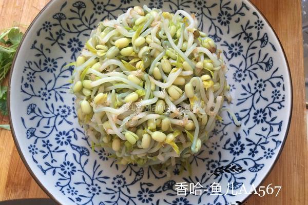 凉拌豆芽的做法图解4