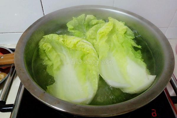 鲜美白菜虾肉卷的做法图解4