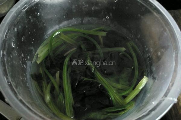 凉拌粉丝菠菜的做法图解5
