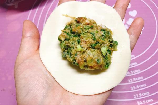 青菜猪肉煎饺的做法图解8