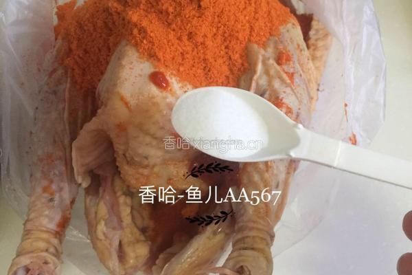 烤鸡的做法图解4