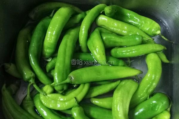 腌辣椒的做法图解1