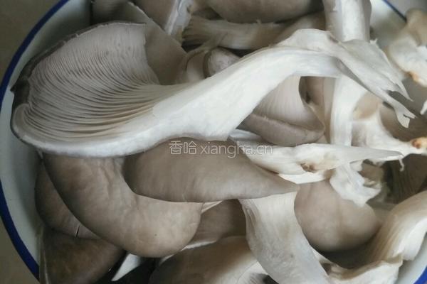 炸蘑菇的做法图解2