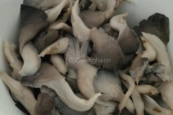 炸蘑菇的做法图解4