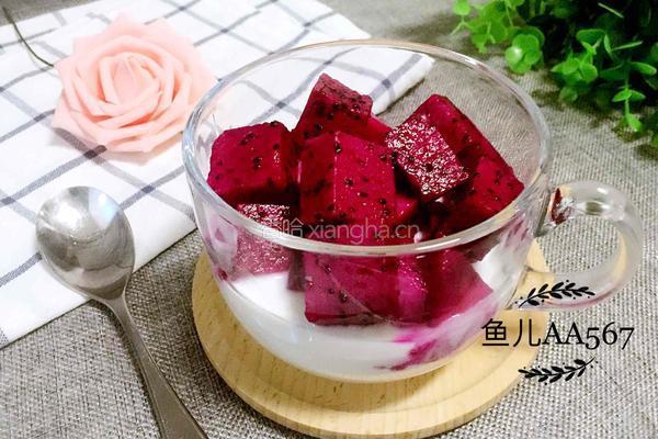 火龙果酸奶的做法图解10