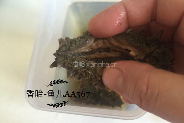 发海参的做法图解4