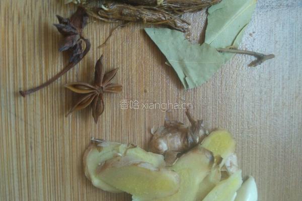 牛腩炖西红柿的做法图解6