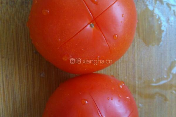 牛腩炖西红柿的做法图解14