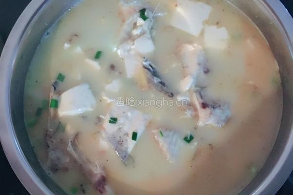 鱼头煲豆腐的做法图解6