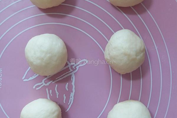 椰蓉菠萝包的做法图解10