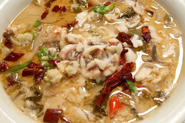 酸菜鱼的做法图解7