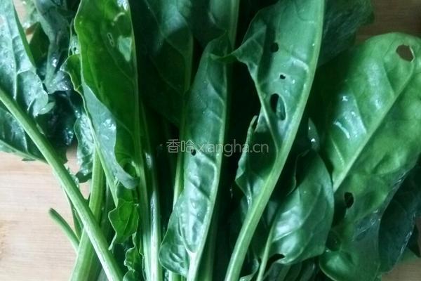 口蘑扒菠菜的做法图解2