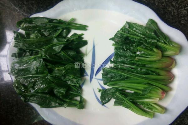 口蘑扒菠菜的做法图解6